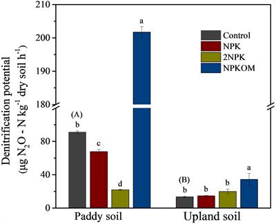 Denitrification Potential of Paddy and Upland Soils Derived From the Same Parent Material Respond Differently to Long-Term Fertilization